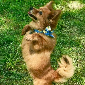 Meet your Posher, Cathy